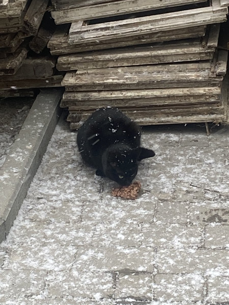 Grow Calgary tweet media