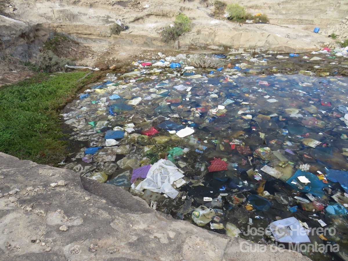 Insurrecto76's tweet photo. Esto q vemos son miles d bolsas d plástico en una charca d #Tenerife en la q solía observar bastantes #aves como: Lavanderas, Chorlitejo chico, Tarros canelo, etc, la proximidad dl Complejo Ambiental y los fuertes vientos d estos días dejan este triste panorama 😪 #StopPlásticos https://t.co/fri5HbcZay