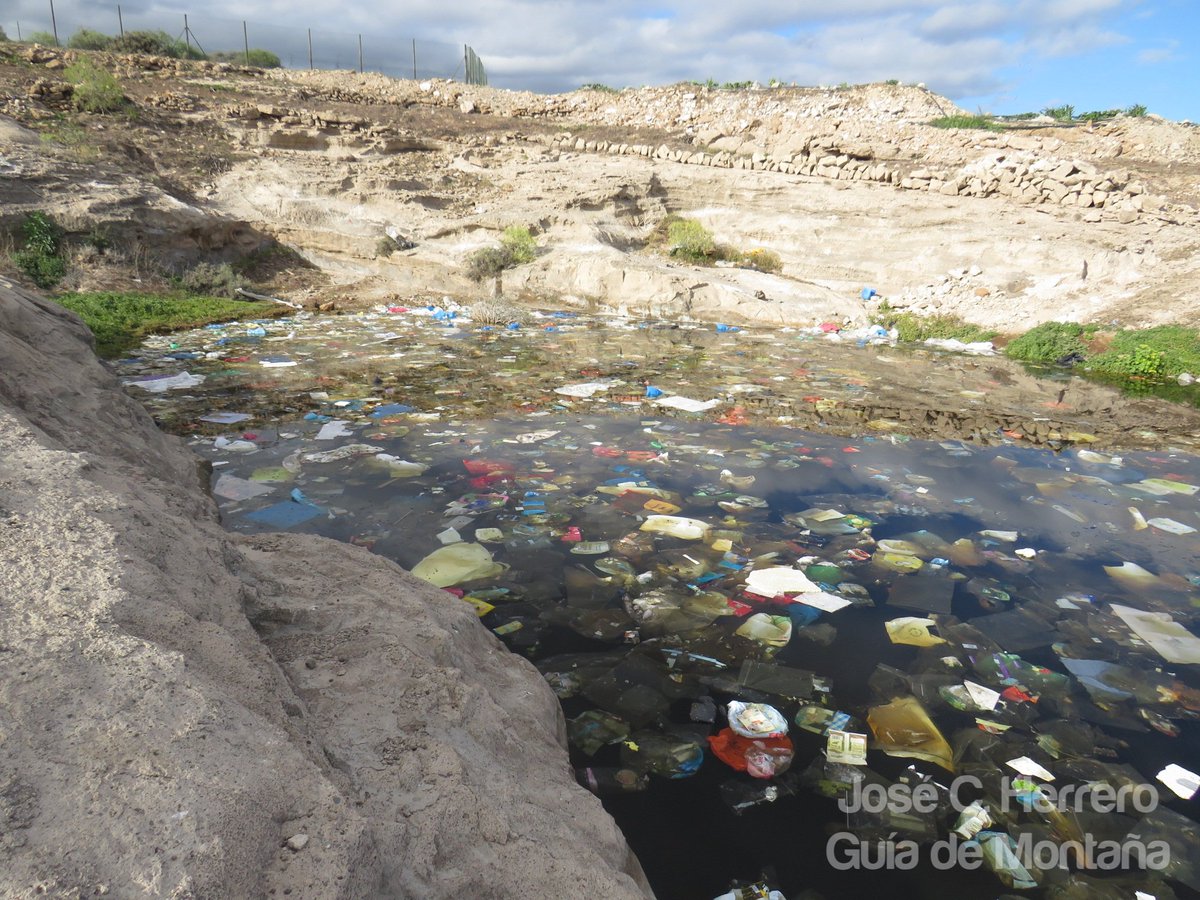 Insurrecto76's tweet photo. Esto q vemos son miles d bolsas d plástico en una charca d #Tenerife en la q solía observar bastantes #aves como: Lavanderas, Chorlitejo chico, Tarros canelo, etc, la proximidad dl Complejo Ambiental y los fuertes vientos d estos días dejan este triste panorama 😪 #StopPlásticos https://t.co/fri5HbcZay