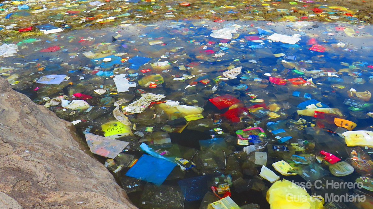 Insurrecto76's tweet photo. Esto q vemos son miles d bolsas d plástico en una charca d #Tenerife en la q solía observar bastantes #aves como: Lavanderas, Chorlitejo chico, Tarros canelo, etc, la proximidad dl Complejo Ambiental y los fuertes vientos d estos días dejan este triste panorama 😪 #StopPlásticos https://t.co/fri5HbcZay