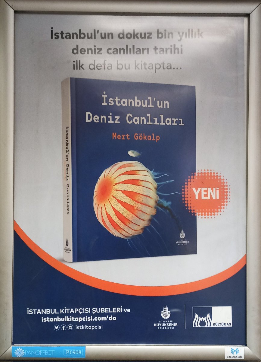 arathrim's tweet photo. Böyle birşey yaptık iyi mi..? https://t.co/llM3L5NQm4