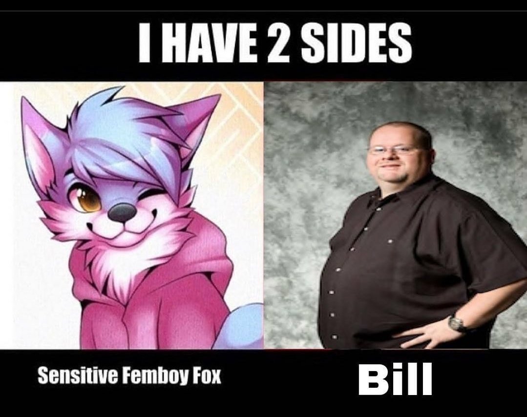 Femboy fox. Sensitive femboy Fox. I have two Sides Мем. I have two Sides sensitive femboy Fox. I have 2 Sides femboy.