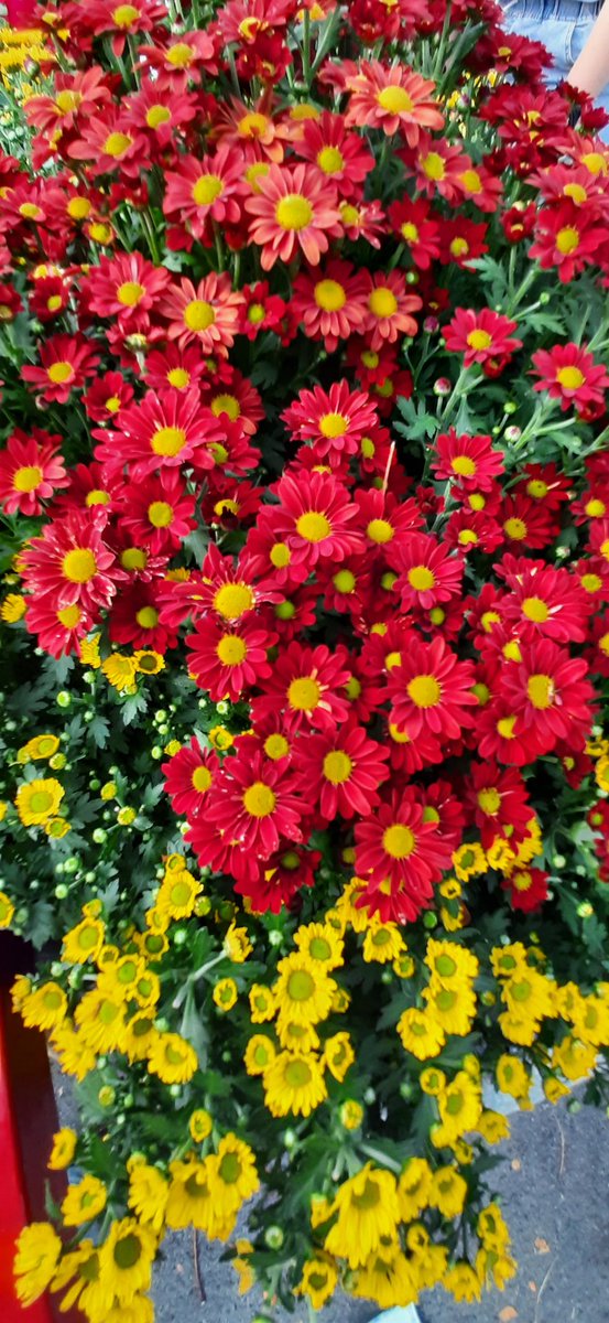 Vụ CHNG, giờ nhớ mọi người quá!