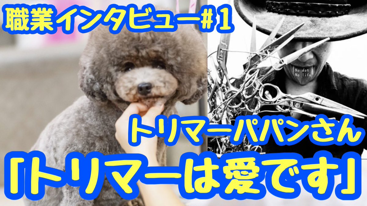 トリマー パパン Papanbot Twitter