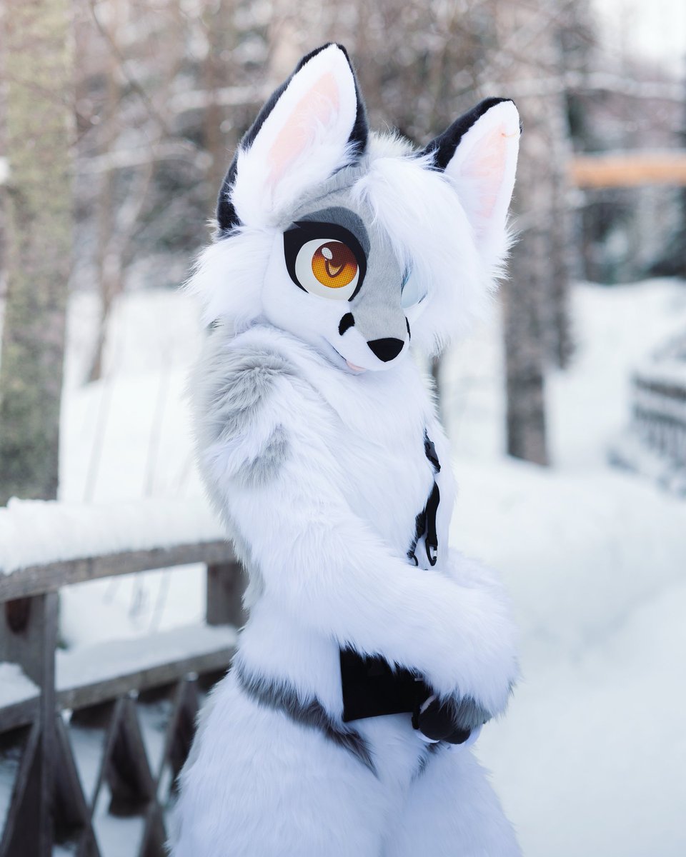 Vixmane_'s tweet photo. I like blending in the snow ❄
#fursuit #fursuitmaker 
📷: @MidoriFox https://t.co/XLEeL1iOjv