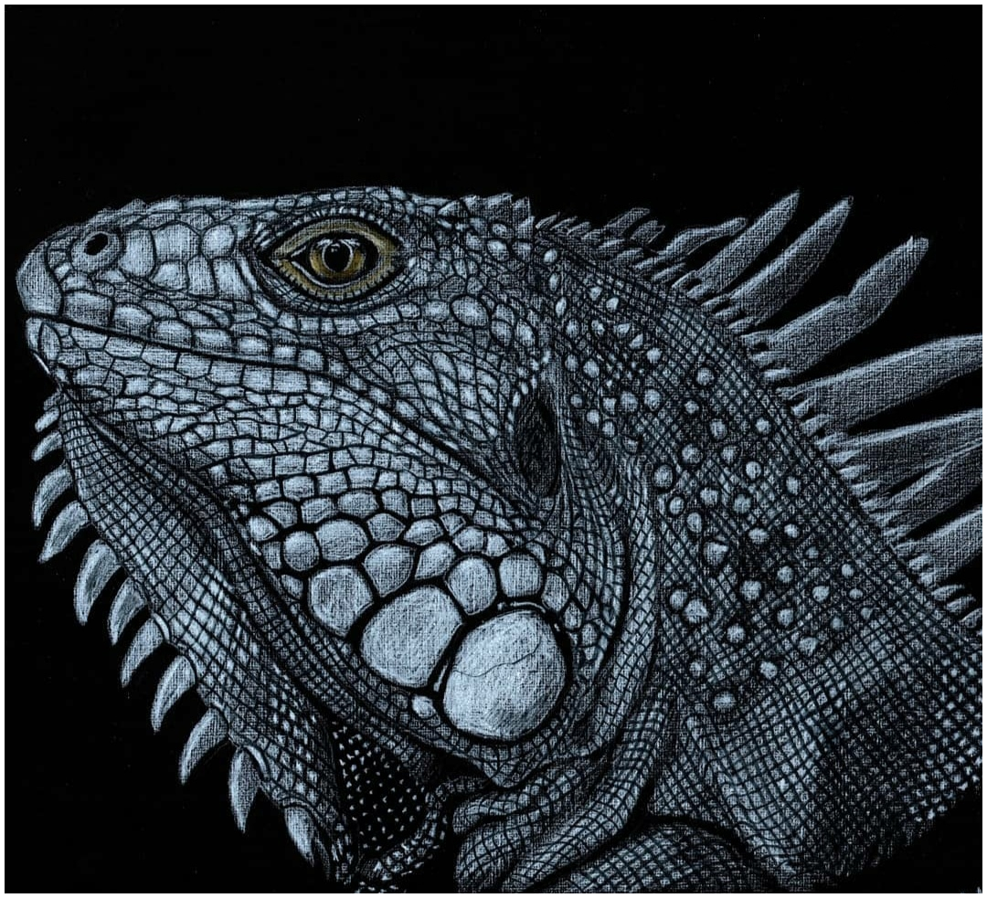 ArtKeldeev's tweet photo. Hello everyone, soon I will start the Keldeev art project. visit my rarity and find the art you like.
#rarible #nft #opensea @rarible #NFTcomunity https://t.co/ahvGNOzpVn