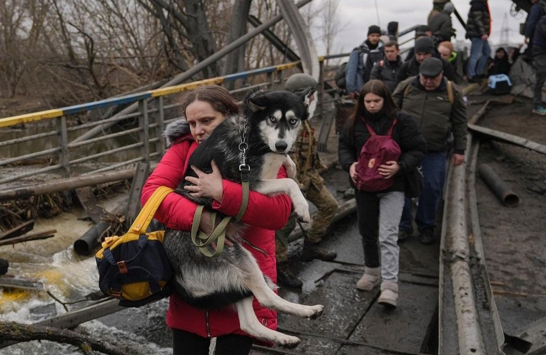 MFA_Ukraine's tweet photo. While 🇷🇺 makes the evacuation impossible, Ukrainians are continuing to be responsible for those who they love.

📍Irpin, attempt to create a “green corridor”, 8 civilians were killed, many wounded, including the Mayor of Bucha. https://t.co/dcJBwtycDM
