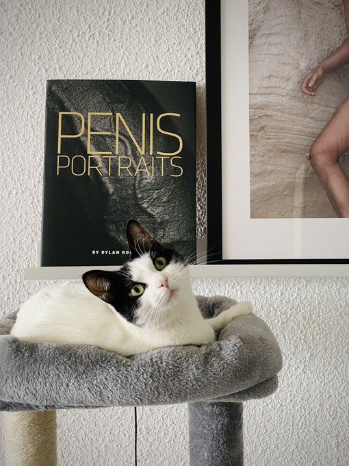 Pussy &amp; Penis&hellip; https://t.co/ZZElVnVZjF https://t.co/Ddb6yYP32A