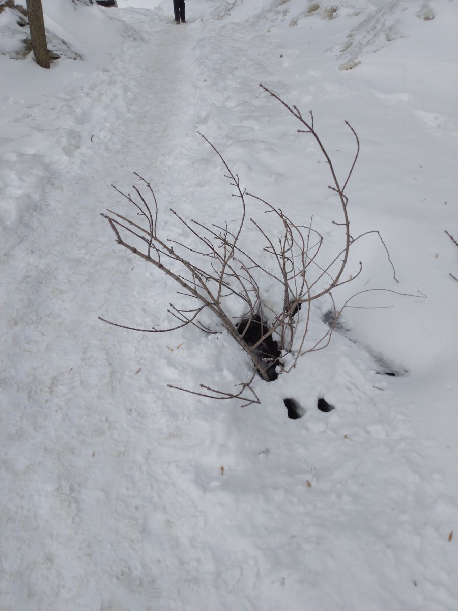 Наталья Стукалова tweet media