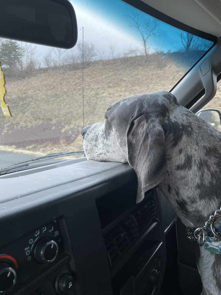 Garth had a blast seeing everyone today, I had my hands full and didn’t take any pictures of him so here is one on our way to the track.  

Sorry to all those he scared 😂 boy just expects everyone to pet him. 

See y’all next week!