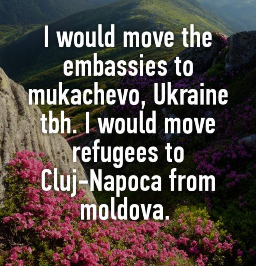 DivaDoNot's tweet image. @PeterZeihan I would move the embassies to mukachevo, Ukraine tbh. I would move refugees to Cluj-Napoca from moldova

#peterzeihan #UkraineRussianWar #Romania #Moldova #carpatheans