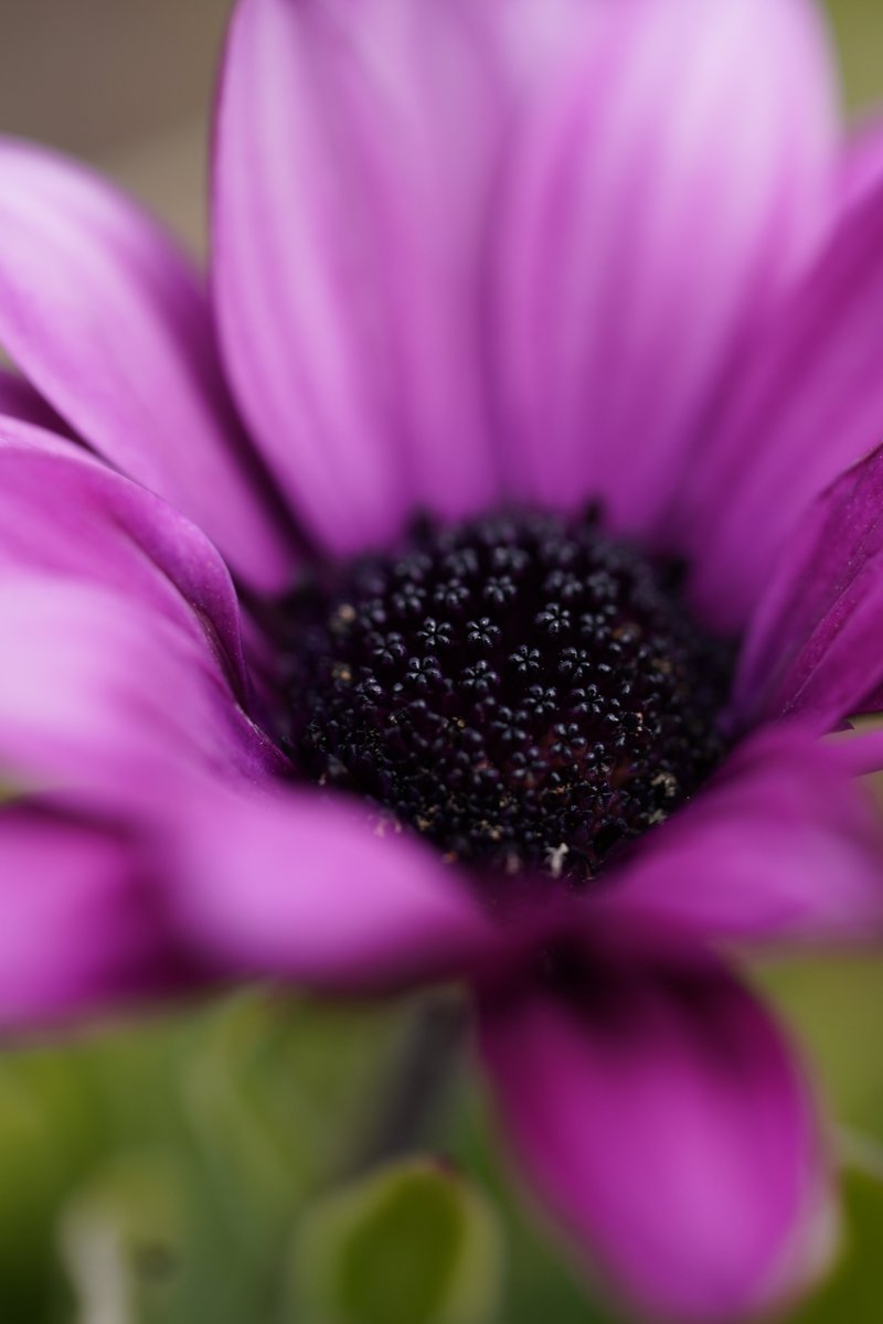 jerritama🐈🐟🐈 (@jerritama) on Twitter photo 