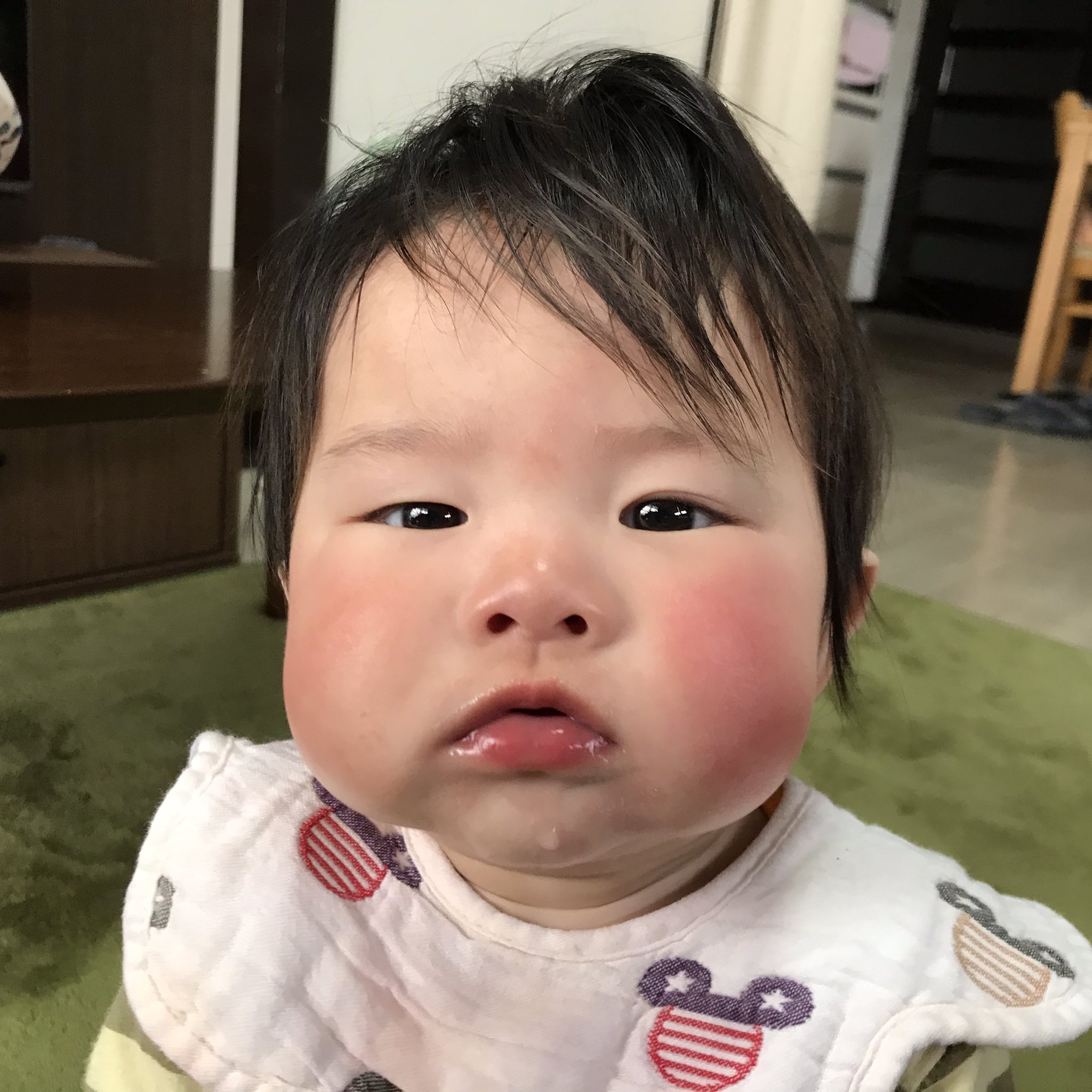 おーちゃんパパ日記 Papa Ganbaruzo Twitter