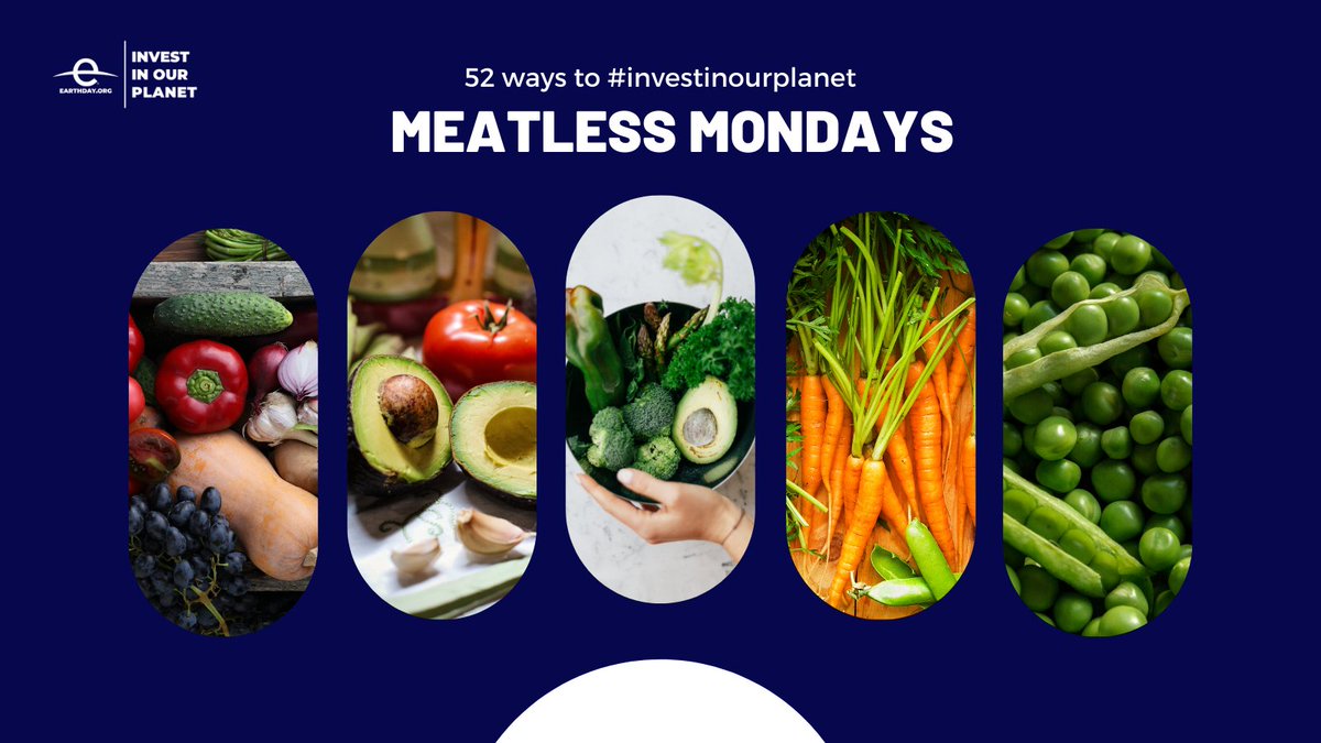 EarthDayAfrica's tweet photo. Be a part of the change. Change your diet to fight #ClimateChange!
Try participating in meatless Mondays!
Check out some #52ways to #Investinourplanet.
https://t.co/1bwMP2gCBN https://t.co/Te7lSuVpAT