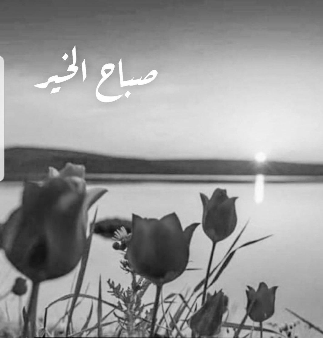 *{اللہُمَ بِكَ أصبحنآ وعَليكَ تَوكلنا وأنتَ خيرُ الحَافظيّن}
اَللَّهُمَّ إنا نَسْأَلُكَ رَحْمَةٌ مَنْ عِنْدَكِ
َتُصْلِحُ بِهَاأَحْوَالَنَا وَتَذْهَبُ بِهَا هُمُومُنَا وَأَحْزَانِنَا
اللهم اجعلناشاكرين لنعمك 
راضين بقضائك متلذذين بذكرك 
 وطامعين برضاك 
       🌹صباح الخيــــــر🌹