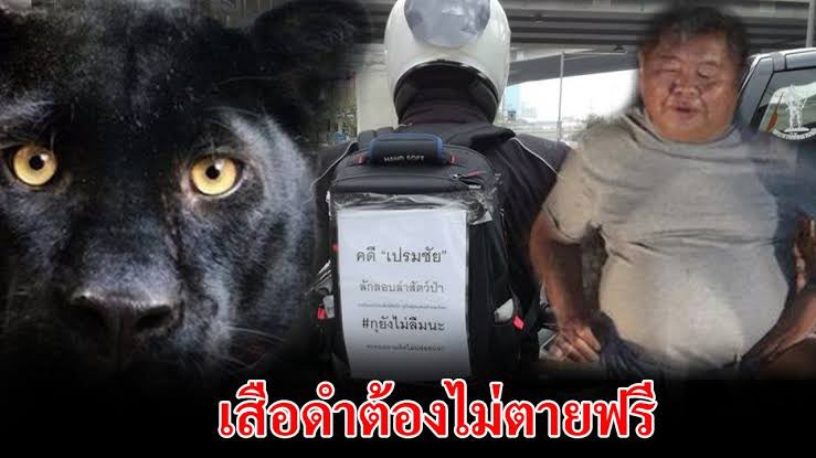 ดร.ปิติพงศ์ เต็มเจริญ | Dr.Pitipong Temcharoen tweet media