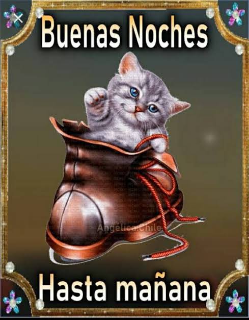 Buenas noches 🌛🥱😴