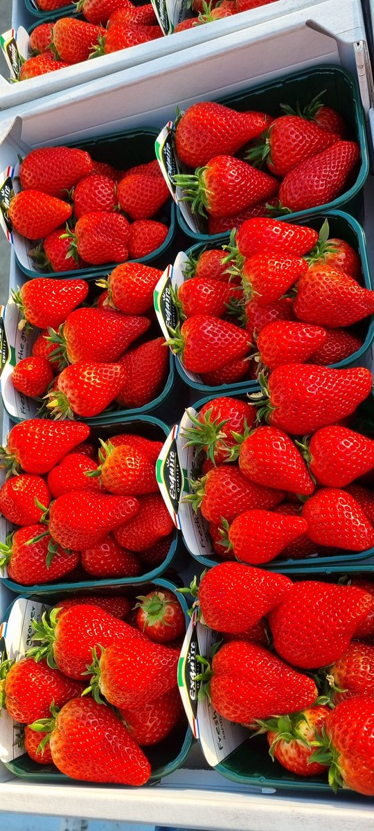 We zijn afgelopen week begonnen met onze oogst in de kas!!!
#inspire #aardbeien