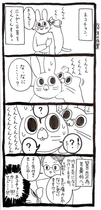 異様なほど、耳を嗅いでくる猫 飼い主が翌日耳鼻科に行った結果? https://t.co/XKZ28f1v6R @grapeejpより 