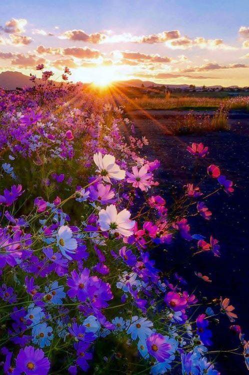 AbundanceHealth's tweet photo. Appreciate the day, the night and the inbetweens - Mitta Vicki Wise https://t.co/KpKMSeU730