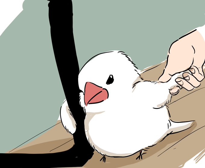 いくよ 
