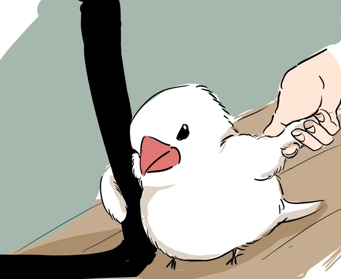 いくよ 