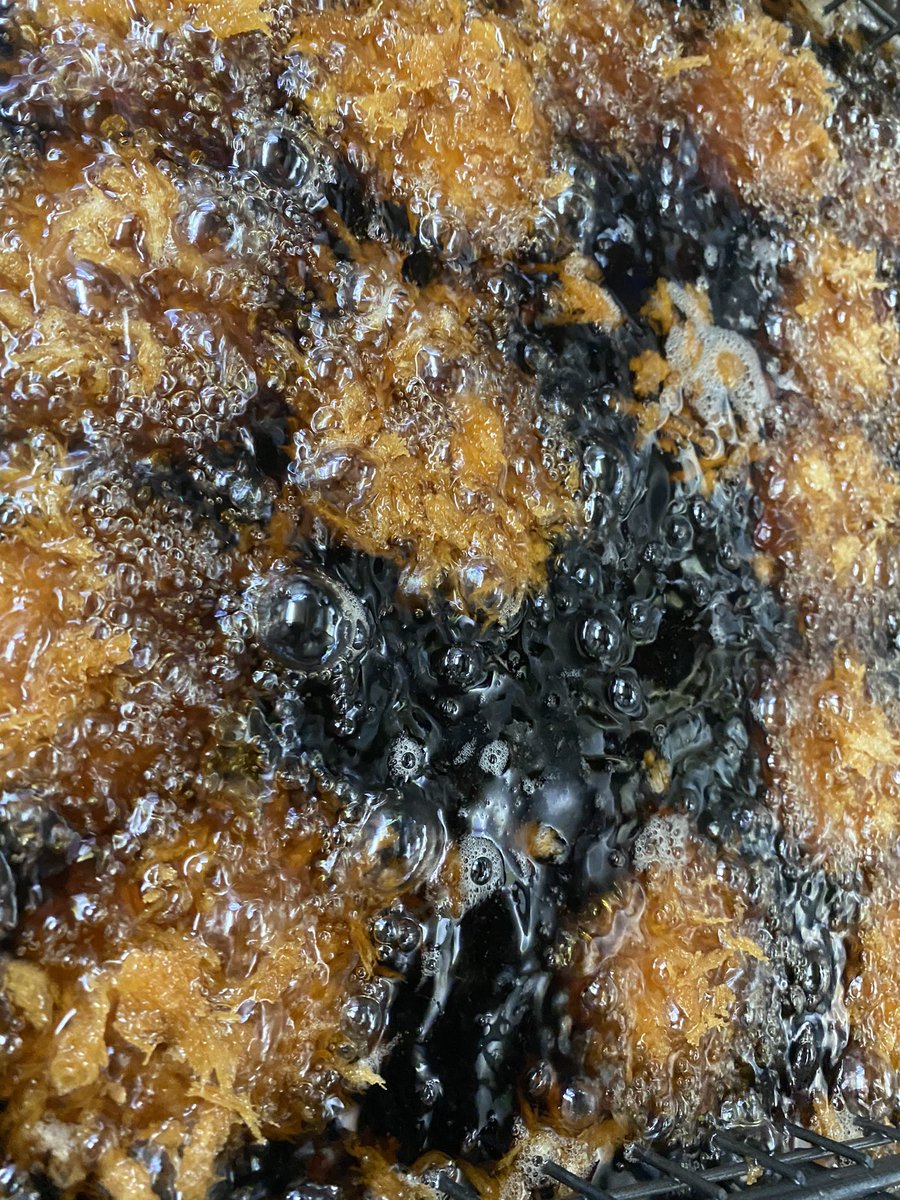 いつもありがとう御座います
横浜関内二代目とんかつ栄泉です！

沼部店/武蔵新田店
元気に営業中です🥳

本日は【1口ヒレカツ3個500円】の特売実施中❗️

栄泉のヒレカツはお肉が柔らかくて美味しいと大変ご好評です♪

この機会に是非ご賞味くださいませ♪