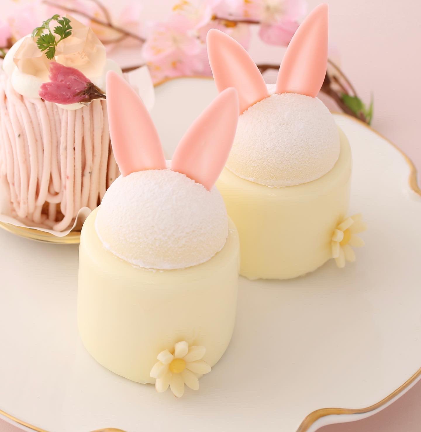 アンテノール 公式 Antenor 1978 Twitter