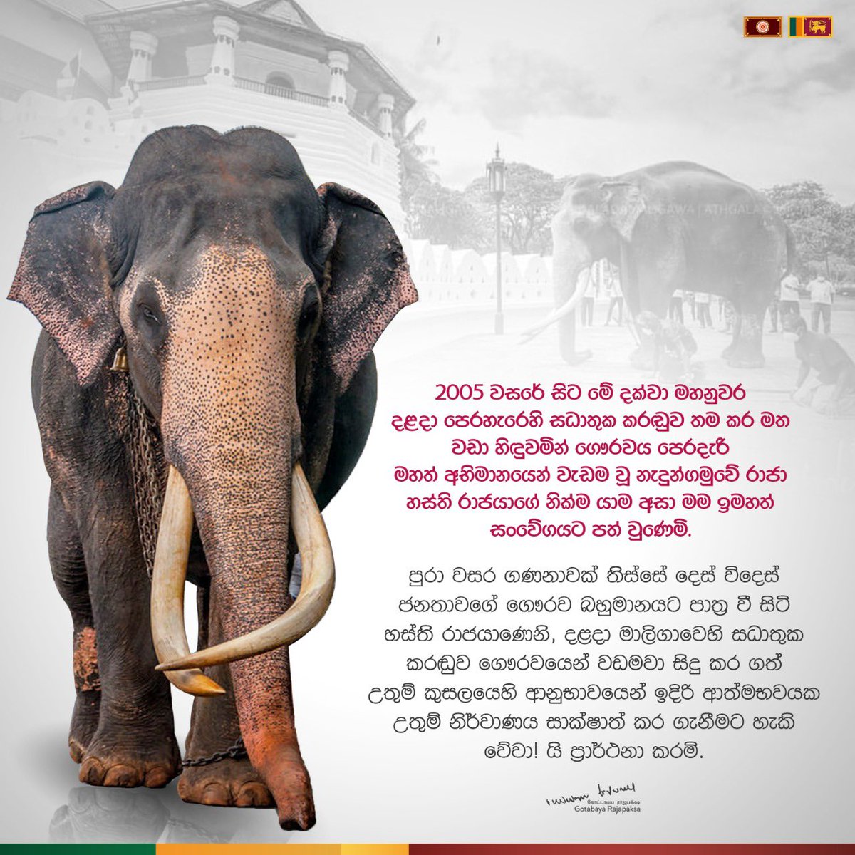 පුරා වසර ගණනාවක් තිස්සේ දෙස් විදෙස් ජනතාවගේ ගෞරව බහුමානයට පාත්‍ර වී සිටි හස්ති රාජයාණෙනි, දළදා මාලිගාවෙහි සධාතුක කරඬුව ගෞරවයෙන් වඩමවා සිදු කර ගත් උතුම් කුසලයෙහි ආනුභාවයෙන් ඉදිරි ආත්මභවයක උතුම් නිර්වාණය සාක්ෂාත් කර ගැනීමට හැකි වේවා!යි ප්‍රාර්ථනා කරමි.