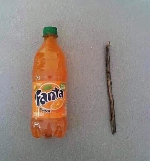 funny filozof01 tweet media