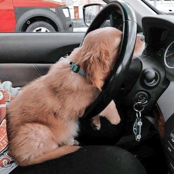 Krystyn31197823's tweet photo. Hi ... Monday ..😻😹 https://t.co/xKan1oVqVP