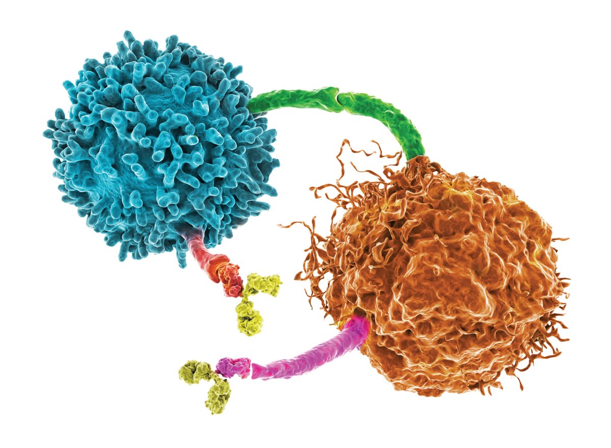 2022Biosimilars's tweet photo. 3rd International Conference on #Biologics, #Biosimilars and #Biomarkers| #May 11-12, 2022|
#Florida #USA | Please submit your abstract at: https://t.co/il8KTKTVUZ
| Biosimilars-2022| https://t.co/6ZoSbb8ytq| #Register|#MolecularBiomarkers #PredictiveBiomarkers
@USBiosimilars https://t.co/O2JjWDQMYP