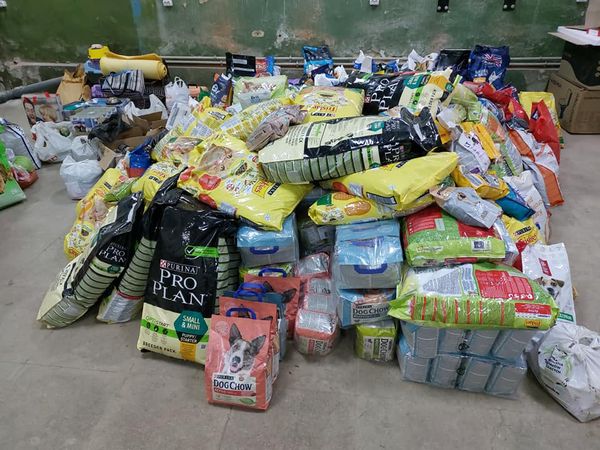 hi_sight's tweet photo. Our friends in Lviv #Ukraine have received 45 TONS of food from overseas for onward shipment to rescues. That's quite incredible - thank you all the large animal orgs now helping #UkraineAnimals https://t.co/TbNK3upRO7
