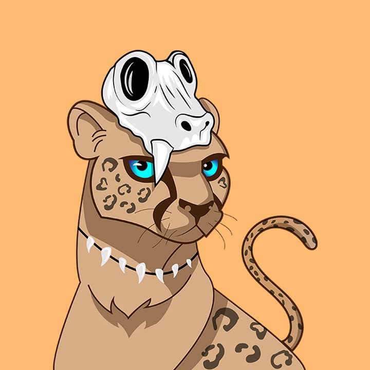 Random Cat tweet media