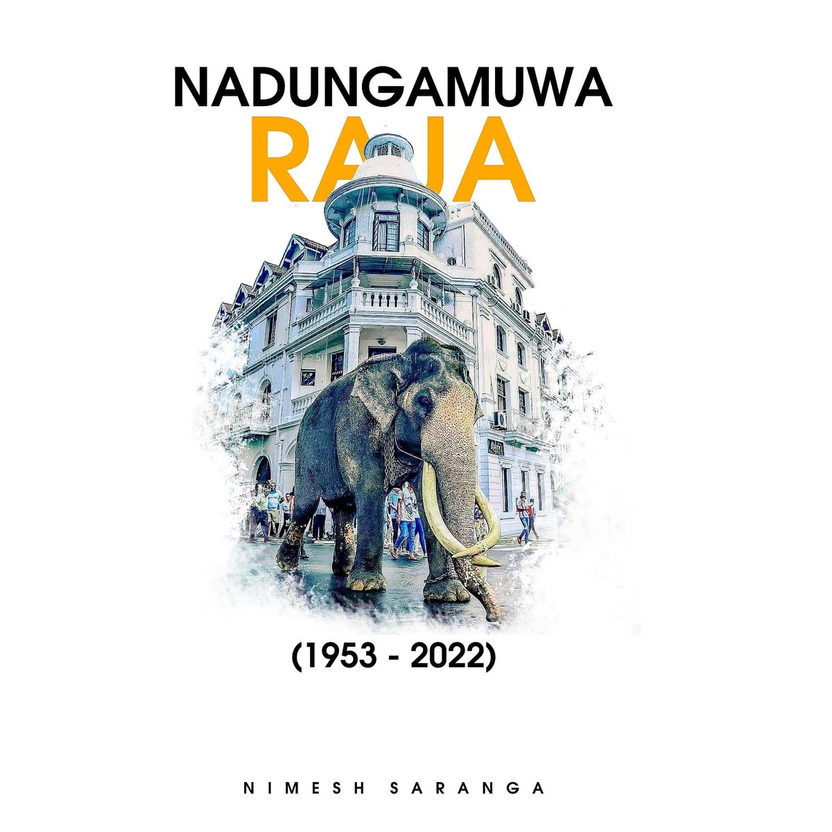 dineshasamarasi's tweet photo. Rest in Peace Great Tusker!! 😰
(1953 - 2022)
#templeoftoothrelic #culture #SriLanka https://t.co/2vOLIK3iYf