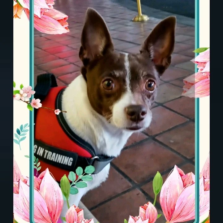 FrannieWills's tweet photo. https://t.co/mxj4NYEyDd https://t.co/ujrJ9JeILB