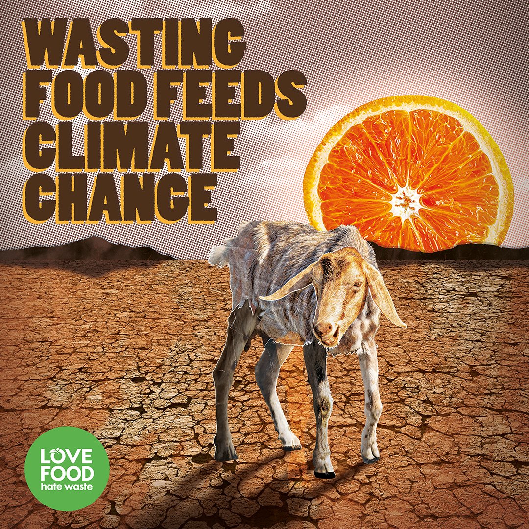 Zero Waste Scotland tweet media