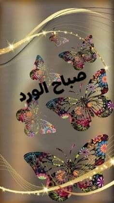 Aa57Alialiraqi's tweet photo. @STPRAG2021 https://t.co/BgE3GuIKGU