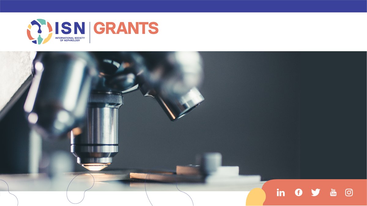 ISNkidneycare's tweet photo. Could your region benefit from support for research and education initiatives that help detect and manage #NCDs such as #CKD, #AKI, #hypertension, #diabetes, and #CVD? Submit a proposal to the ISN Clinical Research Program by April 1, 2022 ➡️ https://t.co/YtNeFHB1ui #ThisISN https://t.co/Q0h9BQ0LrG