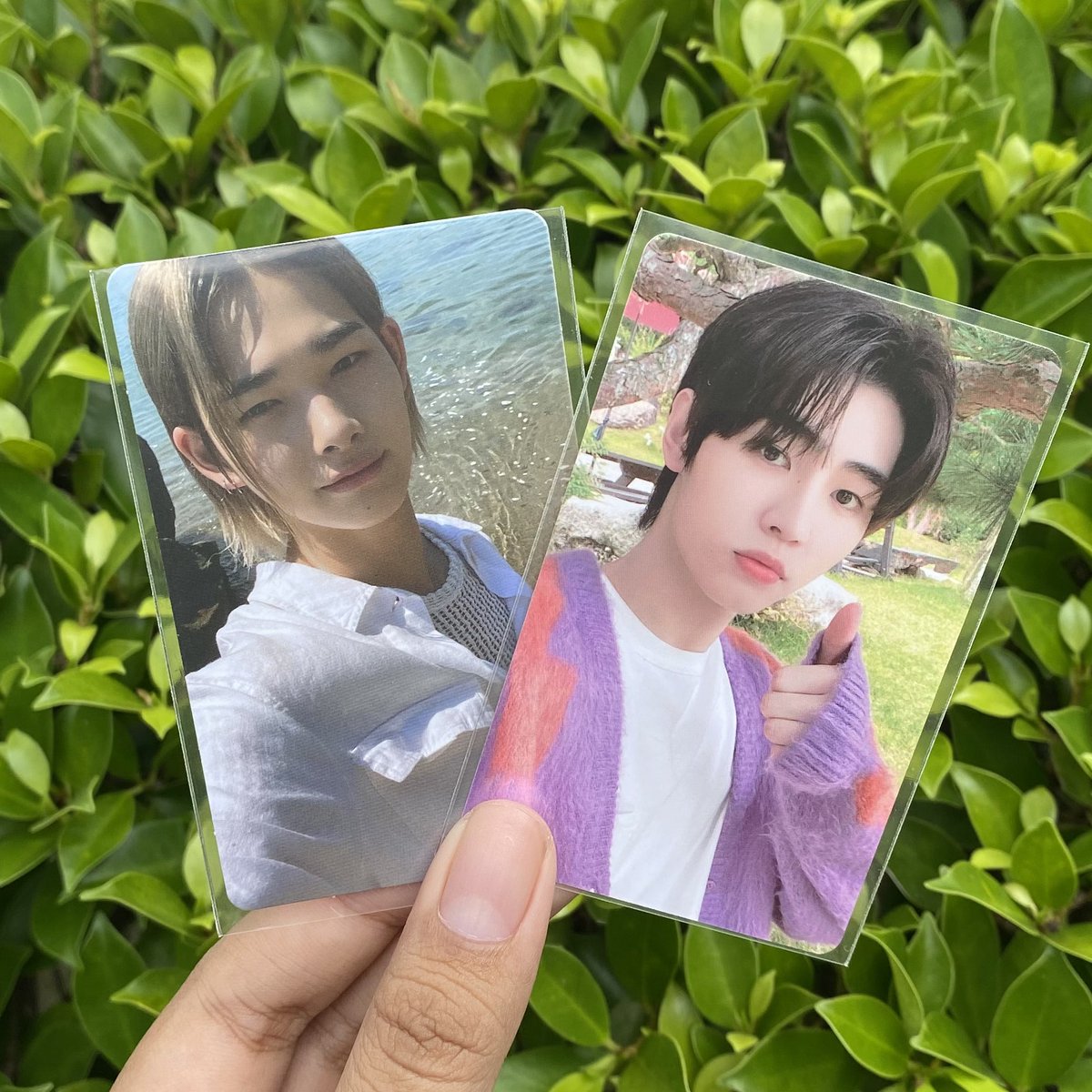 ♡ 🫧🎀 ตะเนวปิ้วๆ ̷ ⋆꙳ ༘✨₍ᐢ.ˬ.ᐢ₎ 𓈒 tweet media