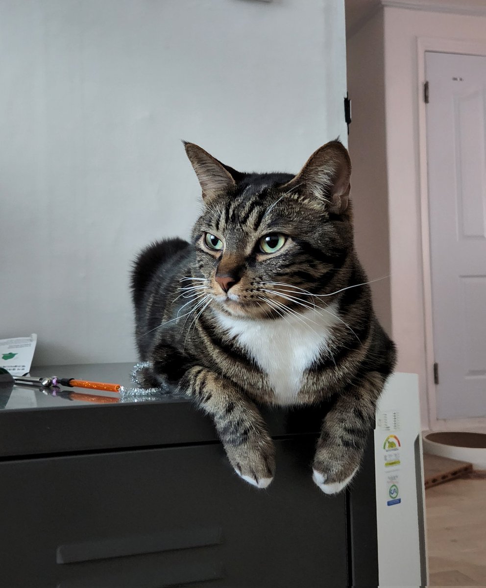 뭔데 왜 이리 예뻐ㅠㅠㅠㅠㅠㅠ