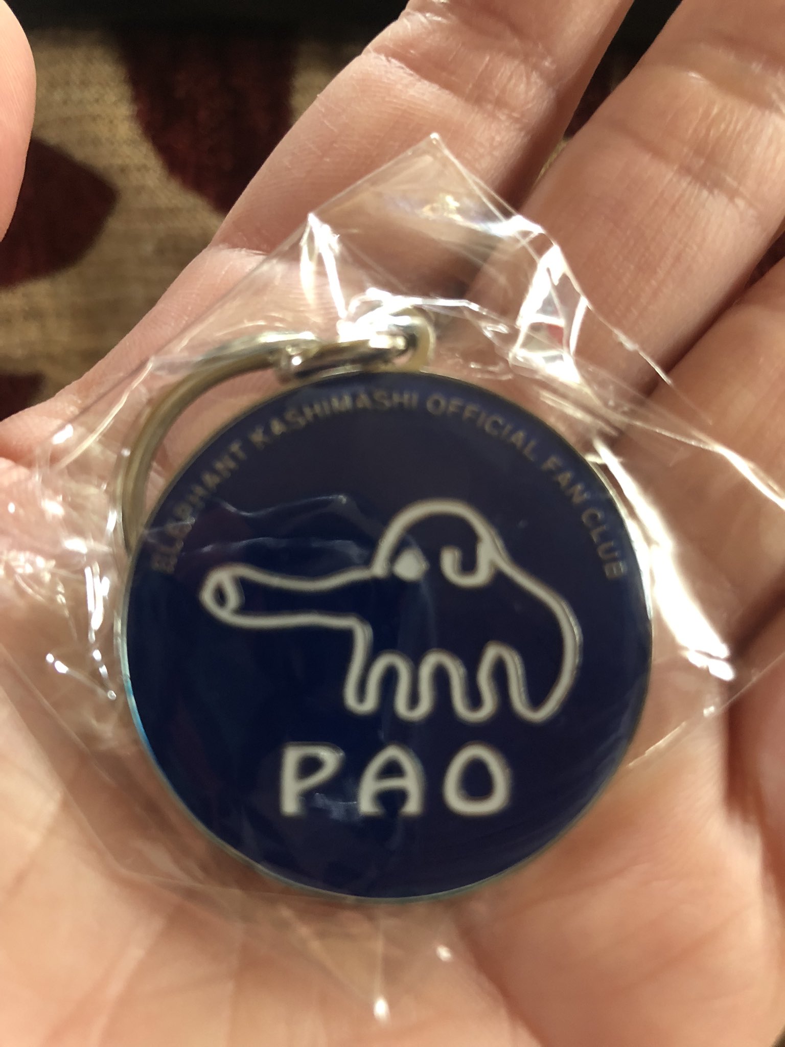 PAO会員 - Search / X