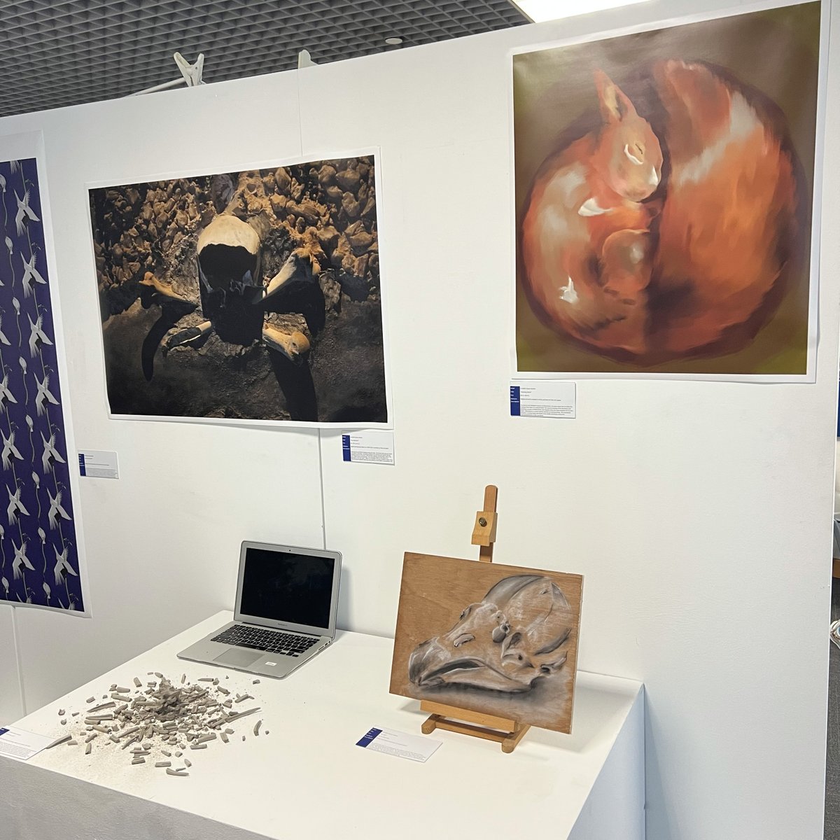 SAISSingapore's tweet photo. Our Grade 12 IBDP Visual Art students final exhibition starts today! The exhibition will be displayed at Franklin Level 6, Art Space, for two weeks. 

View their creative works online here: https://t.co/wGVGzWM5pG

#SAISRocks #CognitaWay #SAISVisualArt #SAISDraws https://t.co/mZEnqh9sEV
