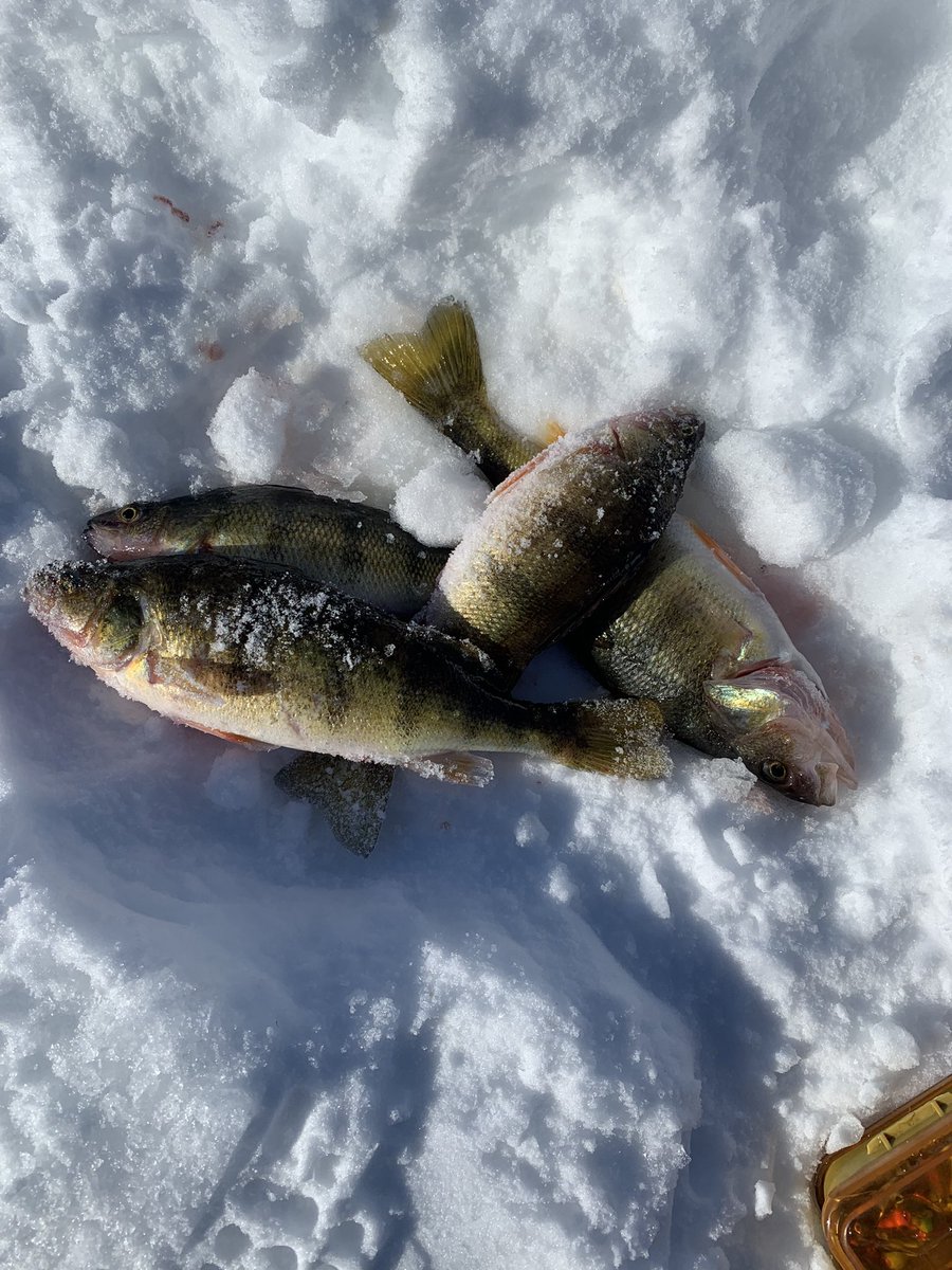 Adam Segin tweet media