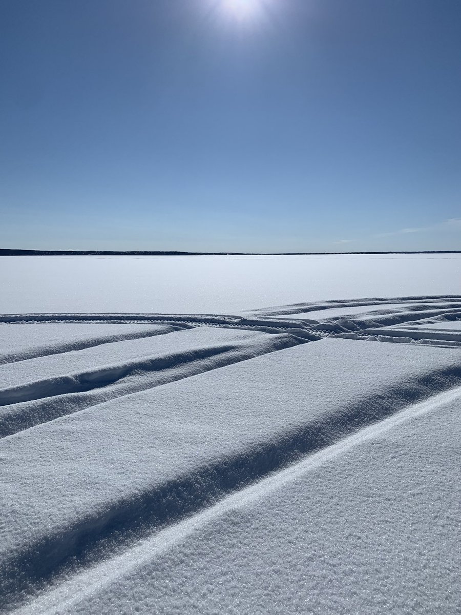 Adam Segin tweet media