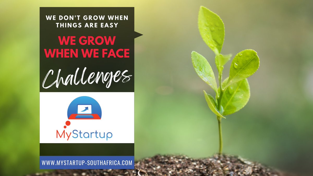 My Start-Up tweet media