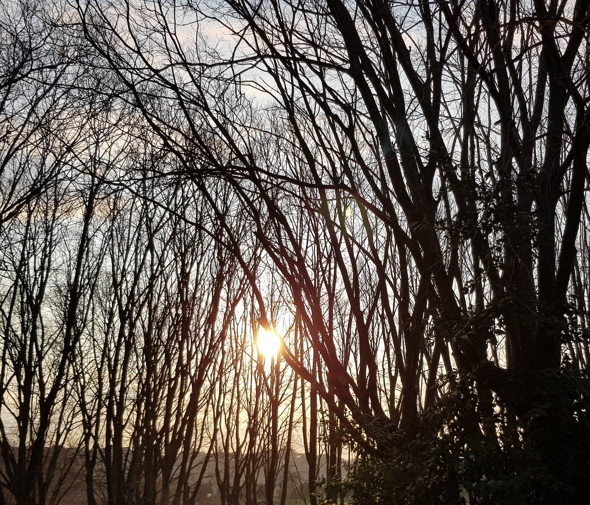 ZeroNodi's tweet photo. Il sole è già alto, l'umore va su e il ritmo sale....che sia un buongiorno
#runingtime 🏃♀️🏃♀️🏃♀️🌻🌞 https://t.co/ITuXoV4mvN