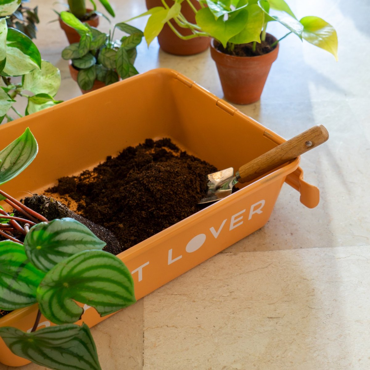新製品発売のお知らせです！
M-8 PLANT LOVER TR（テラコッタ）はフランスのデザイナーJudith de GraaffさんとTOYO STEELのコラボレーション商品になります。

お家の中でも植替え作業が簡単に・お洒落にできますよ。本日より販売しておりますので是非ご確認ください！
onl.la/xhg3hPf