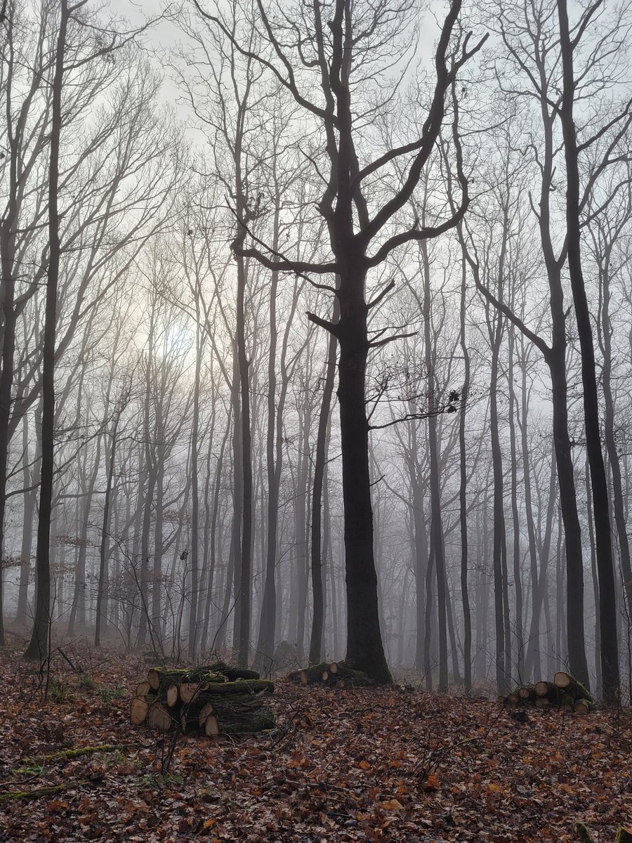 Bonjour, très belle semaine 
Le soleil n'est jamais loin
