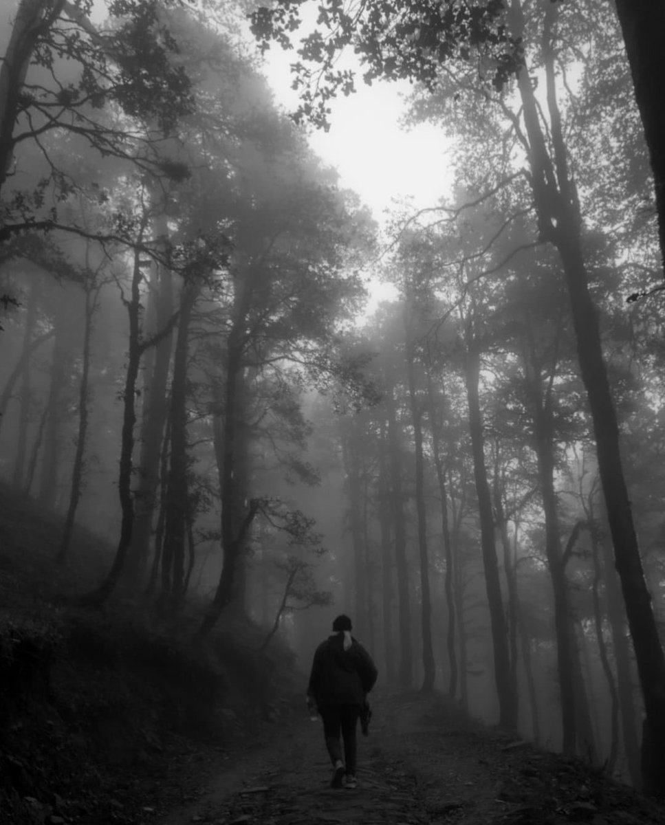 archittsharmaaa's tweet image. Gm gm gm!!!!!! 💙